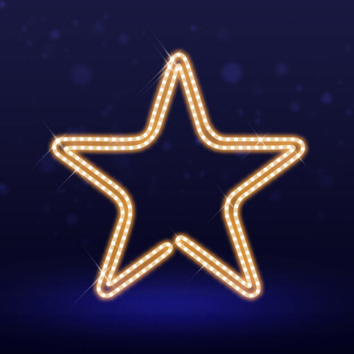 Pre-Lit LED Star 2D Wire Frame Decor
