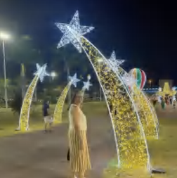 Pre-Lit LED Shooting Star 2D Wire Frame Decor